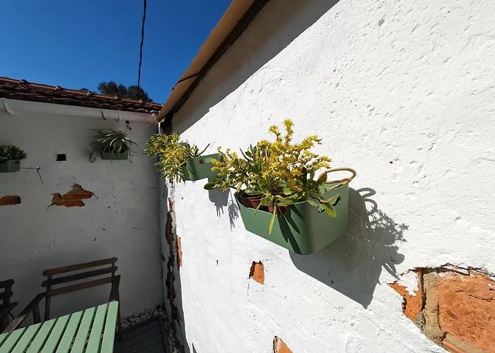 Jardin Secreto By Oasis Bilbao Ebi 2374