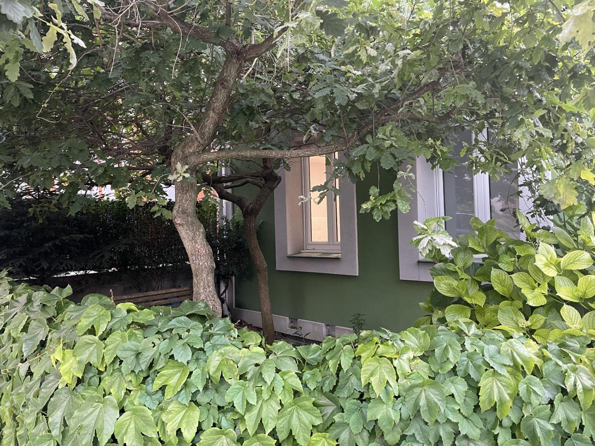 Apartament Jardin Secreto By Oasis Ebi 2374