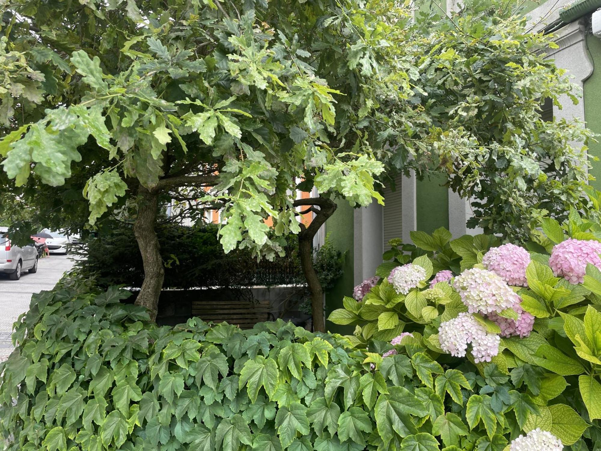 Apartament Jardin Secreto By Oasis Ebi 2374 *